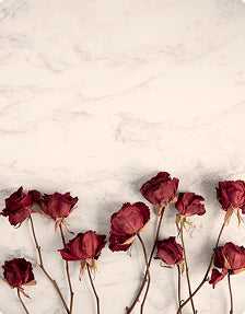 rose-petals
